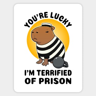 You're lucky I'm terrified of prison Capybara Prisioner Sticker